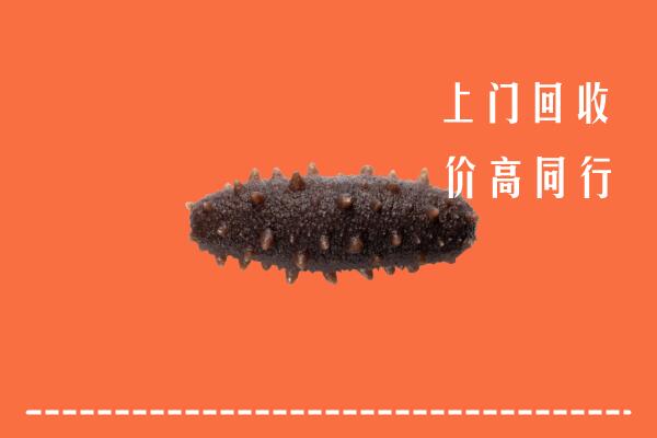 高价求购：莆田回收海参