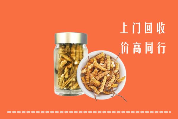 莆田回收冬虫夏草